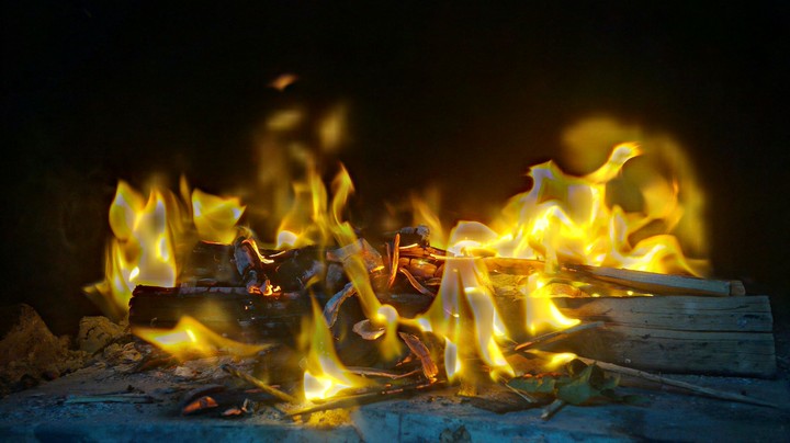Fire Woods