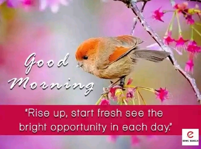 good morning
