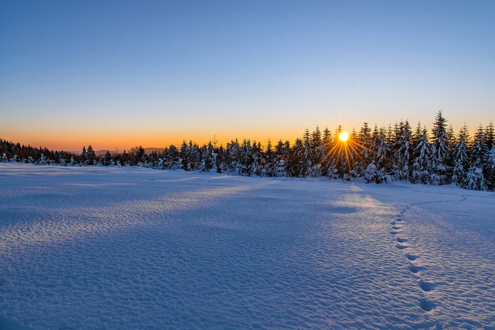 nature