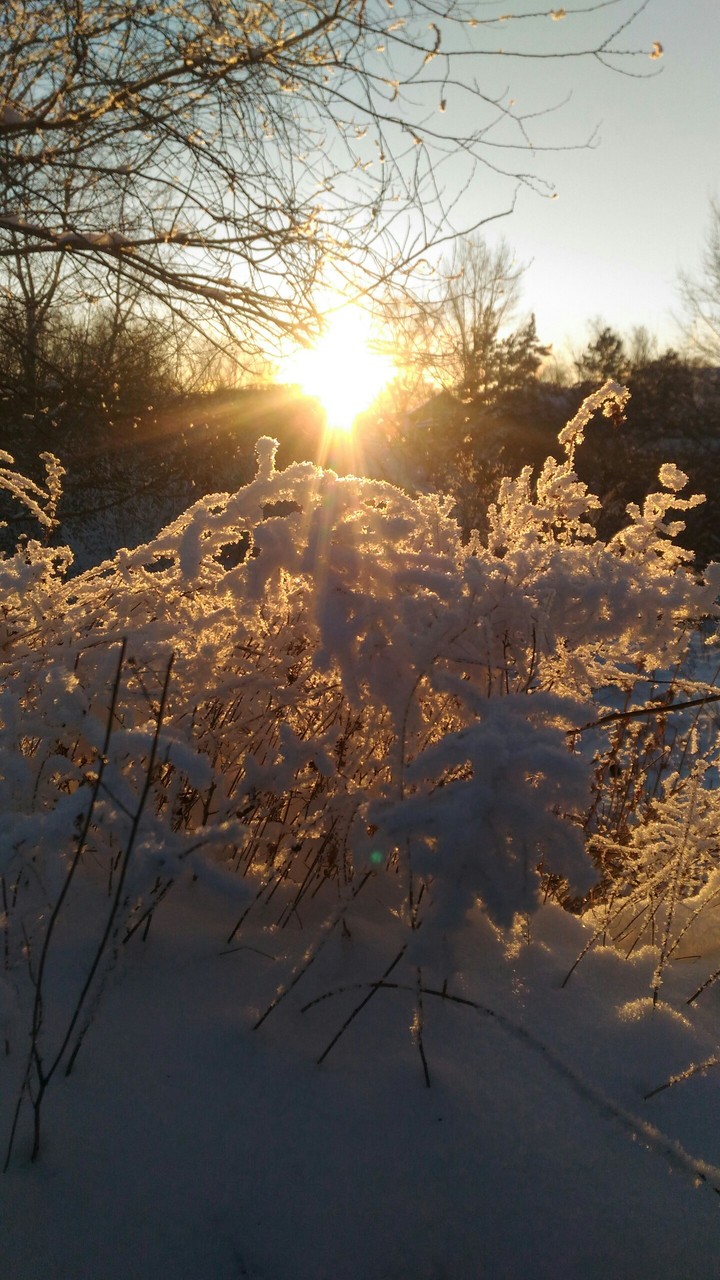 Солнышко