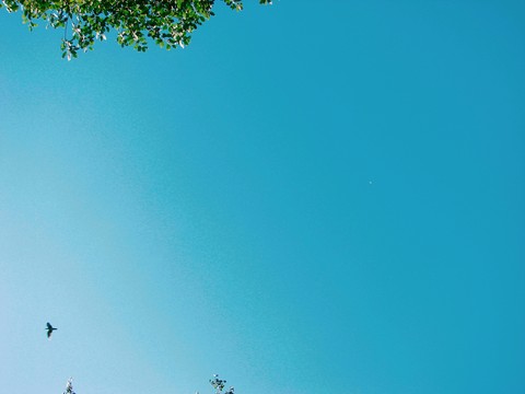 sky