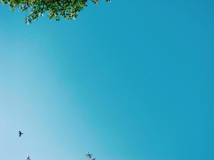 sky