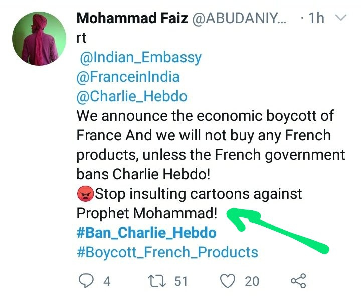 Stop insulting cartoon against pro-fat bro hammer !!