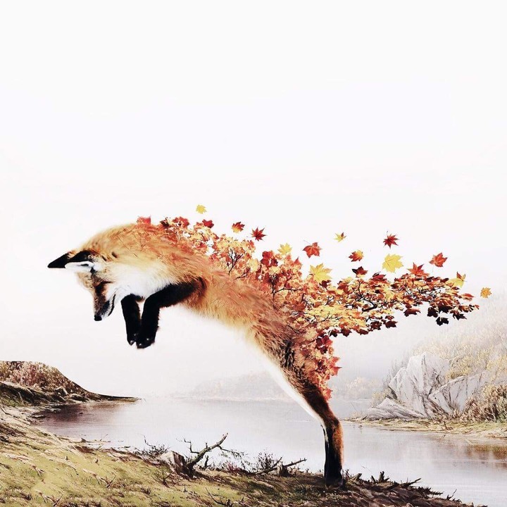 nature