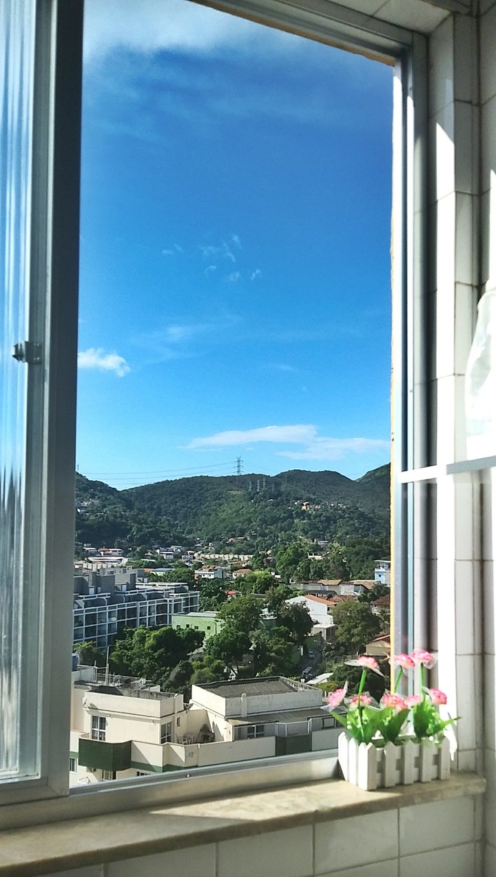 window