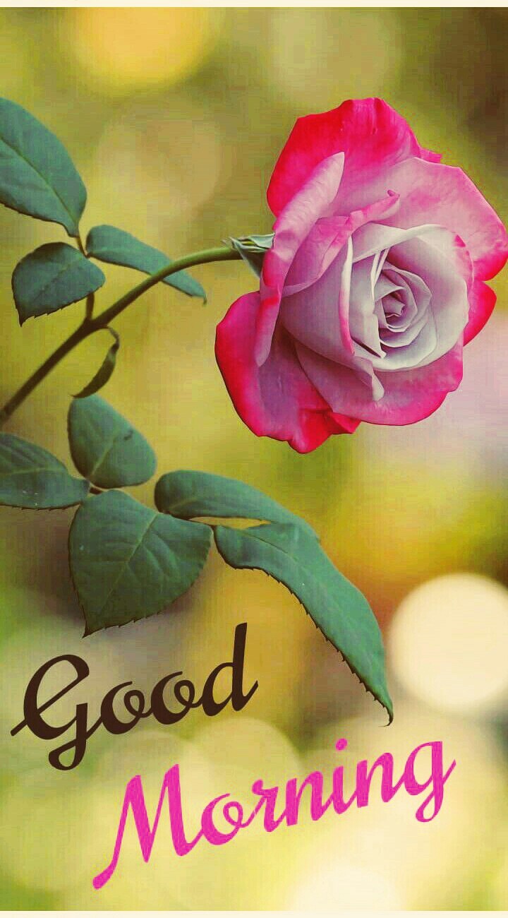 evning All friend