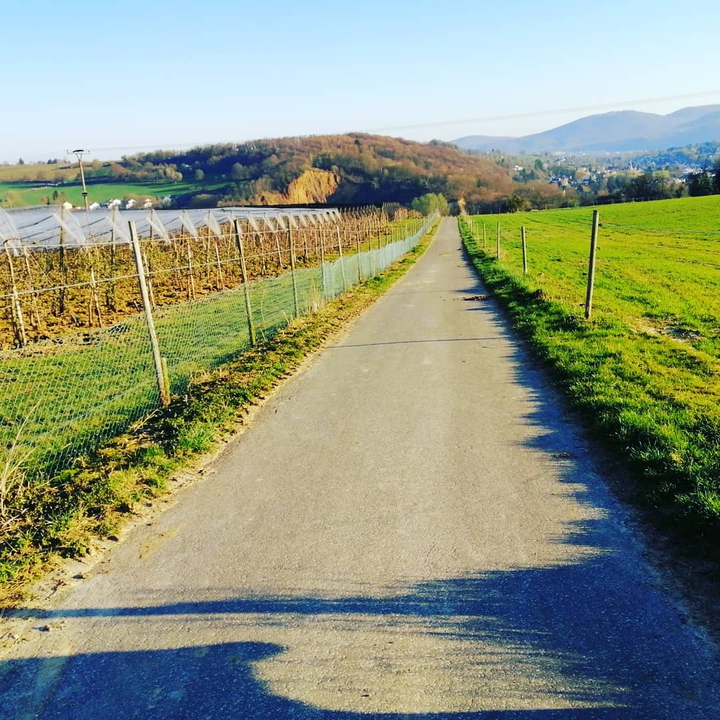 Spaziergang