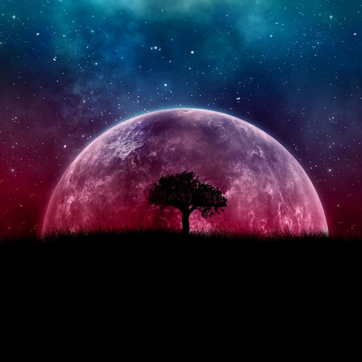 The Moon