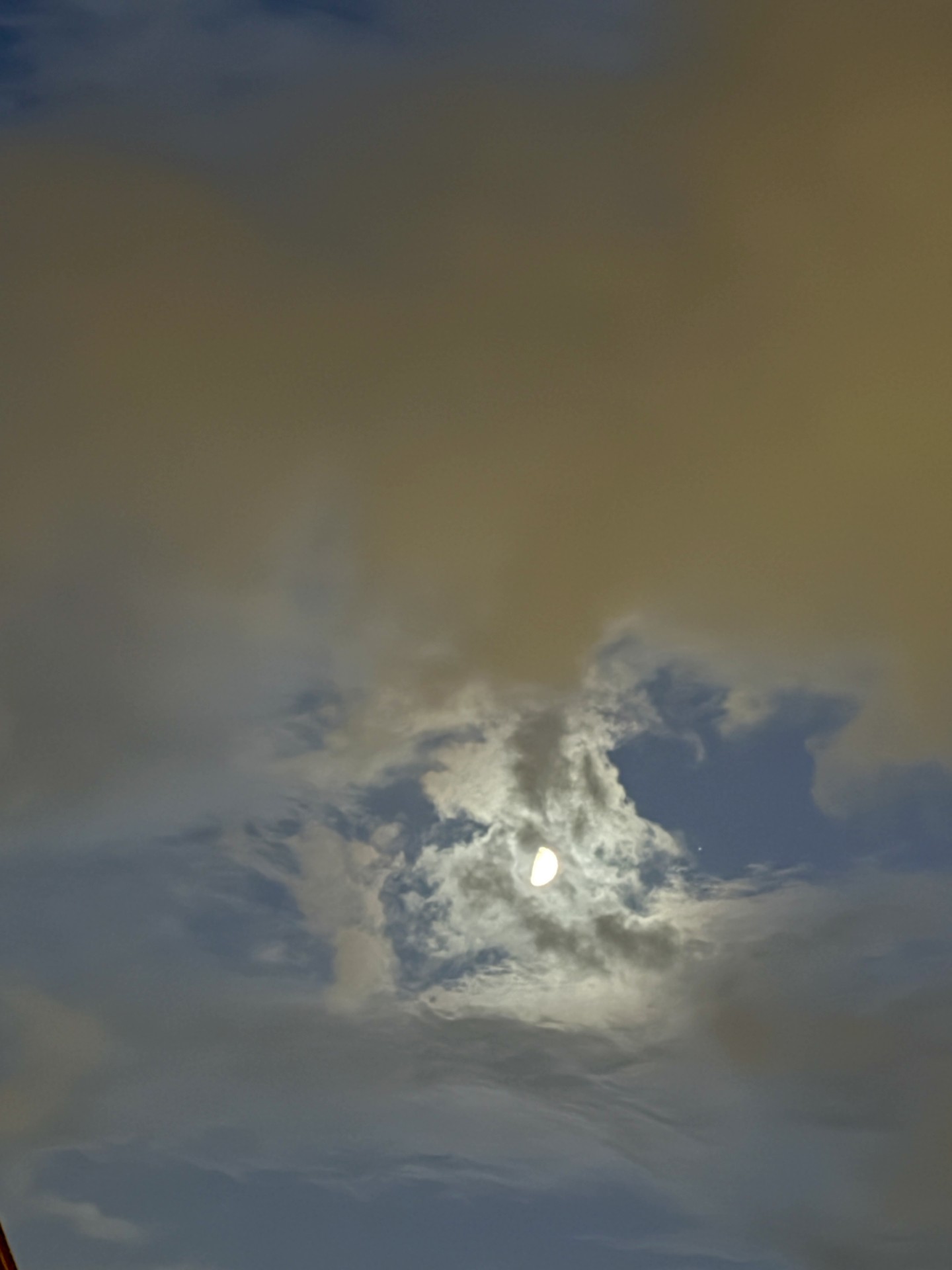 sfondi blue, morning
