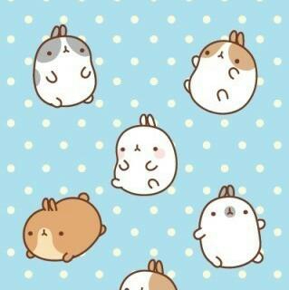 몰랑이♡♡♡