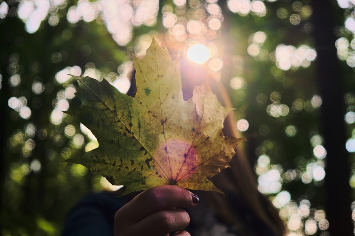Autumn is coming