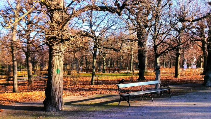 Schonbrunn Park, Vienna