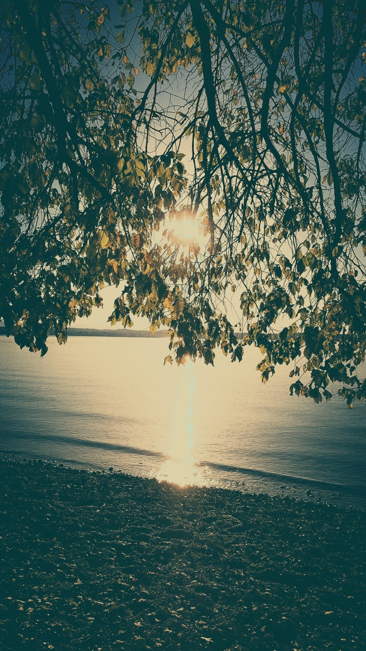 Sun refection