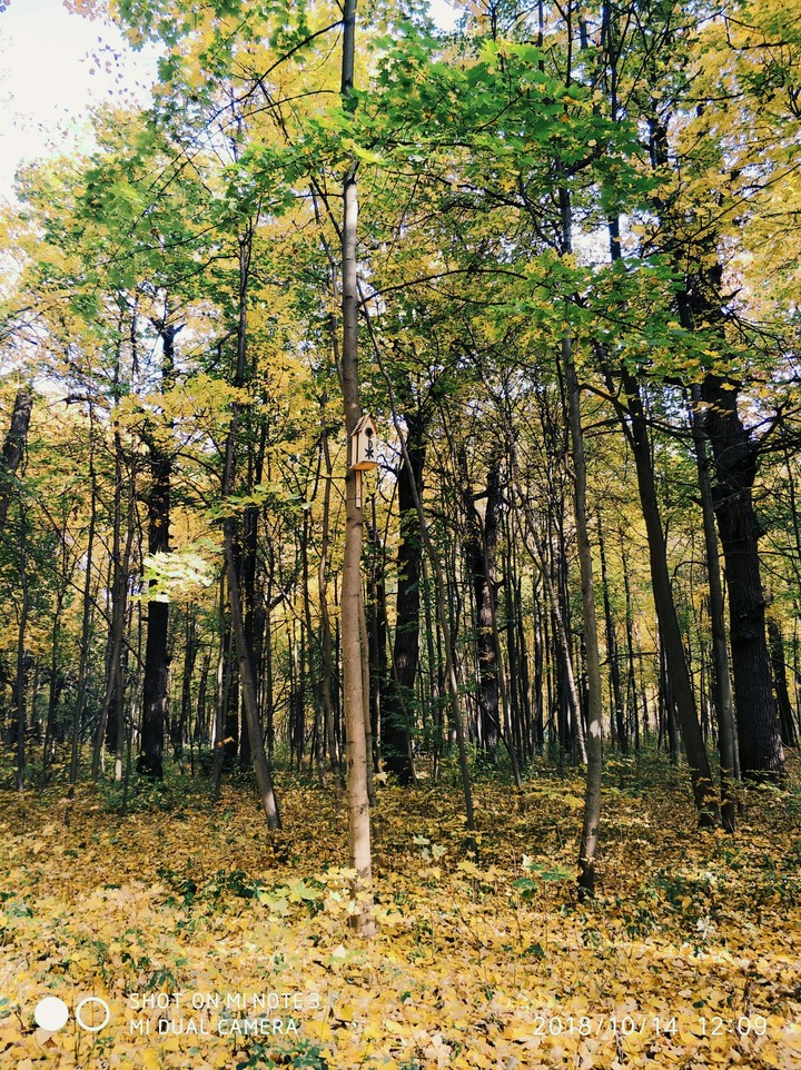 осень