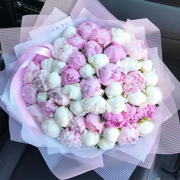цветы