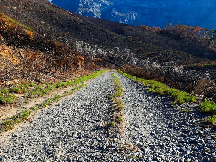 Mountain Trail