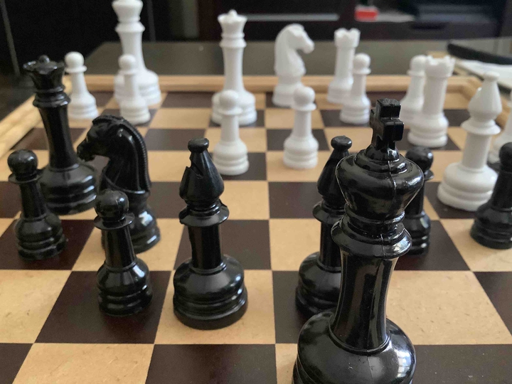 The King and its army