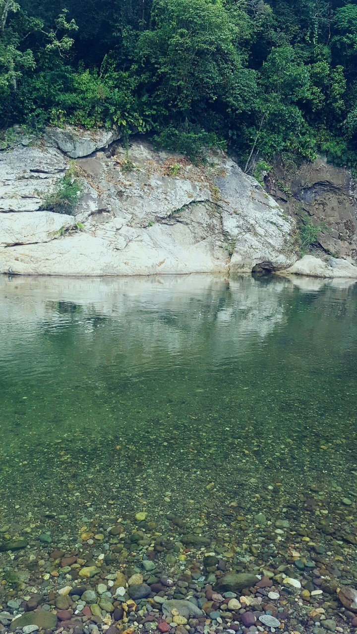 Ceiba-HONDURAS