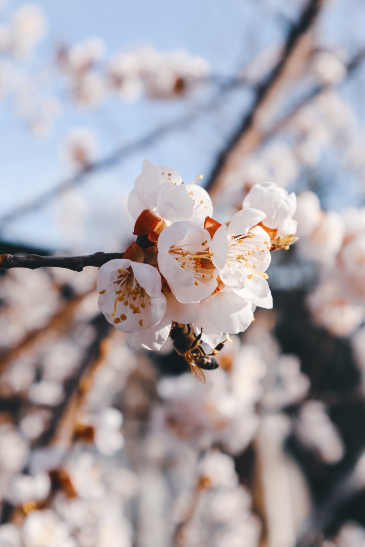 feel spring