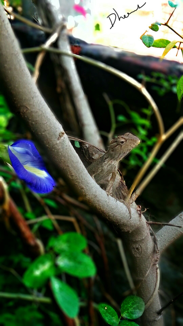 My first Pic photo