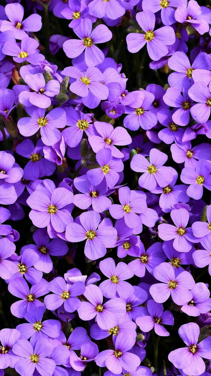 ✨
