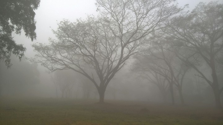 morning mist