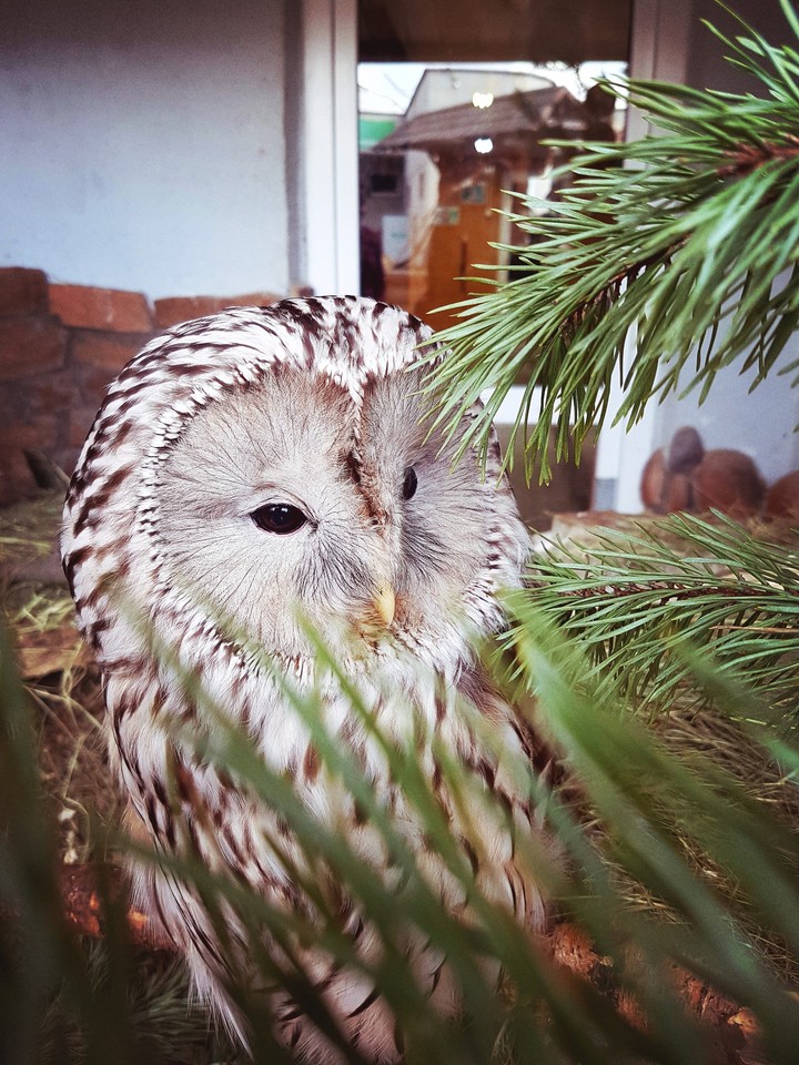Взгляд