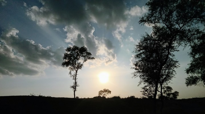 POWER OF SUNLIGHT