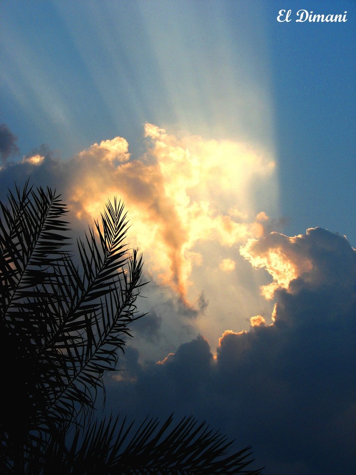سروشت لە ڕۆژئاوا بوون...nature in the sunset