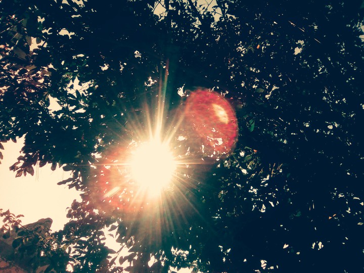 Sunshine