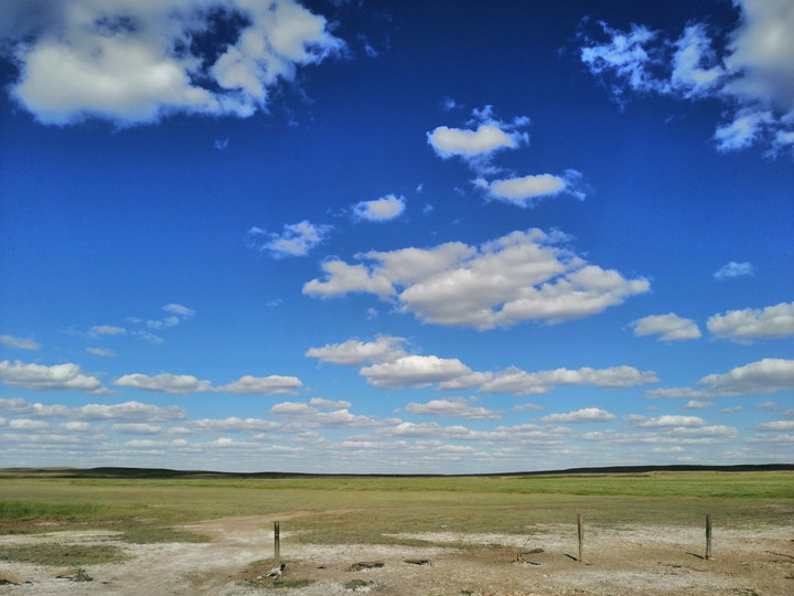 поле, field