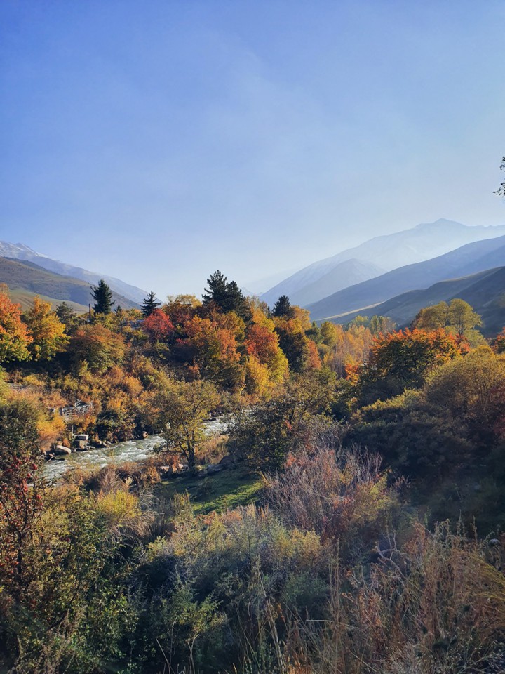 Autumn in the mountains