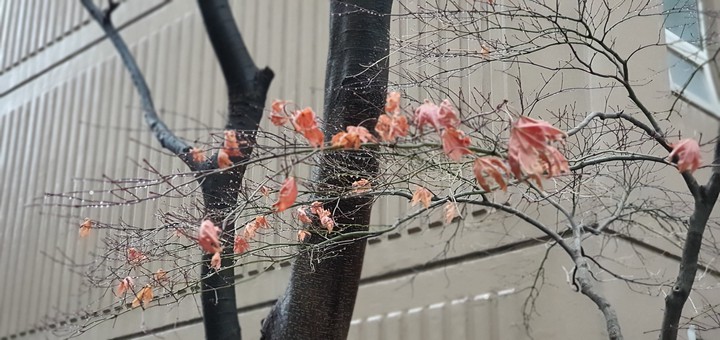rainy day