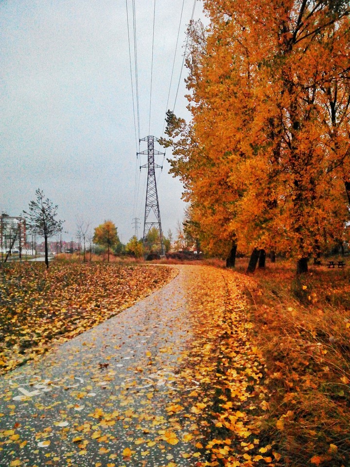 winter is coming