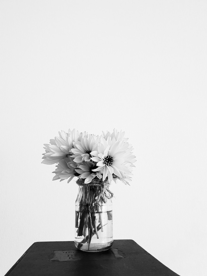 Minimalism flowers