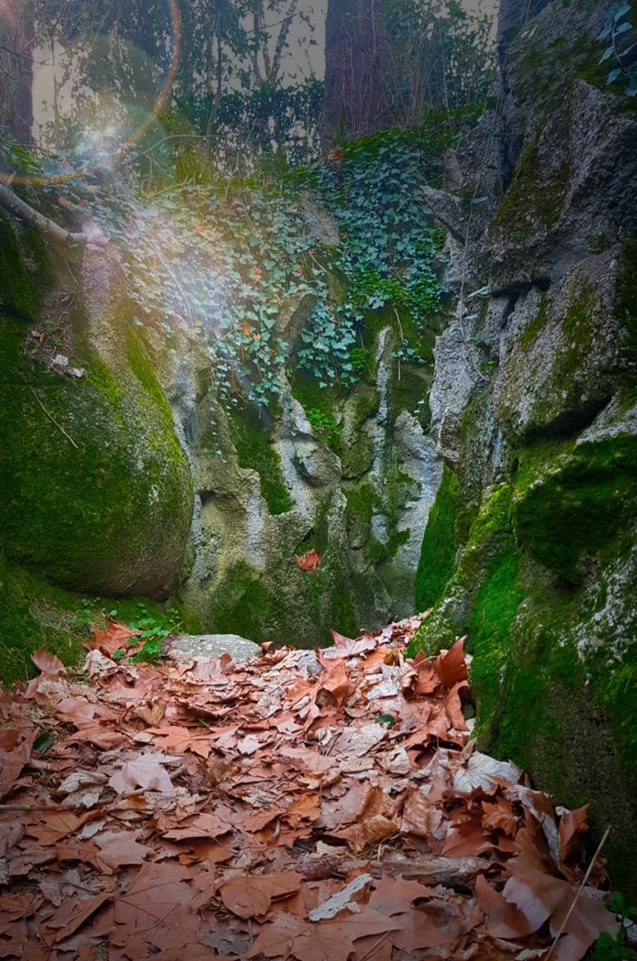 Entrada para o reino dos sonhos