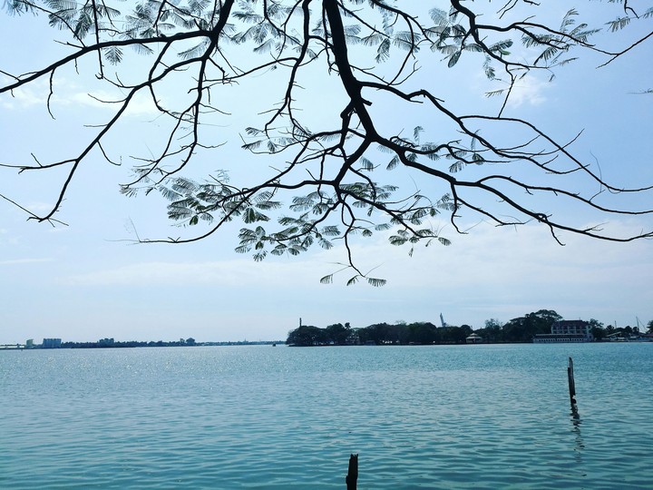 sea