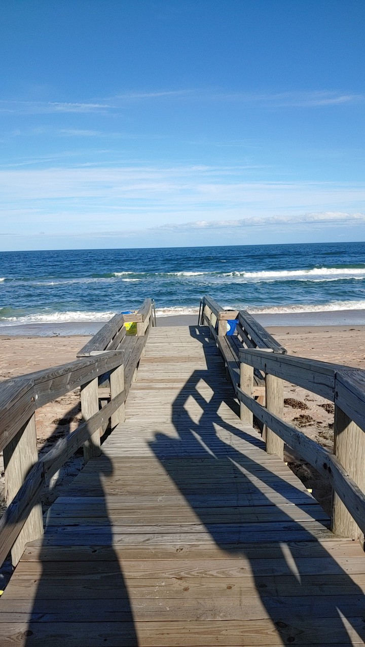 Ormond florida