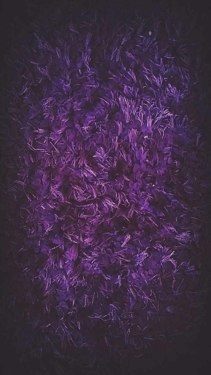 Purple carpet