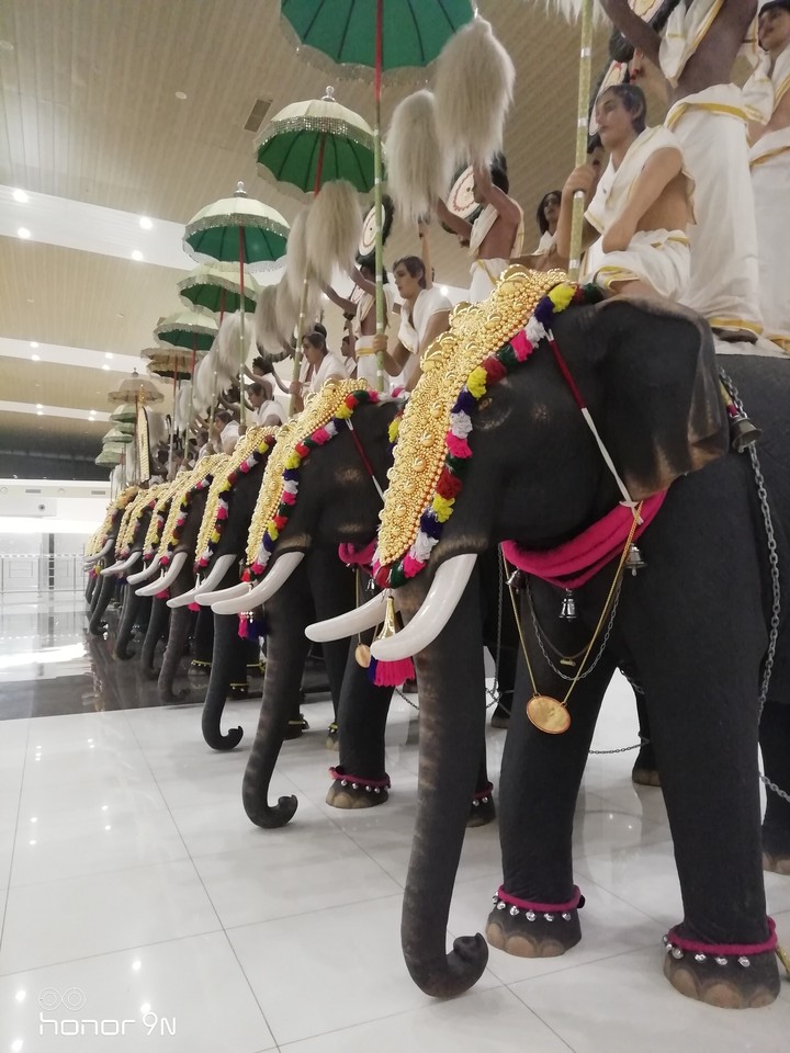 ELEPHANT GROUP