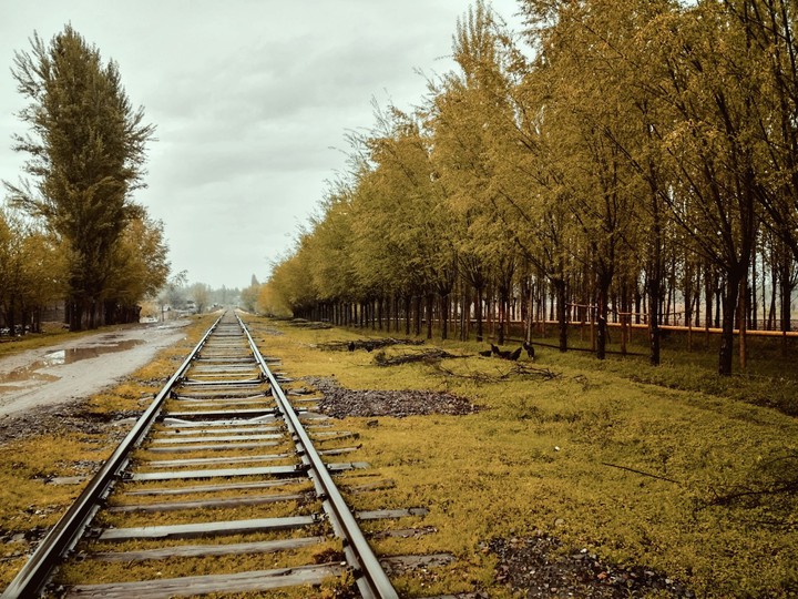 Осень