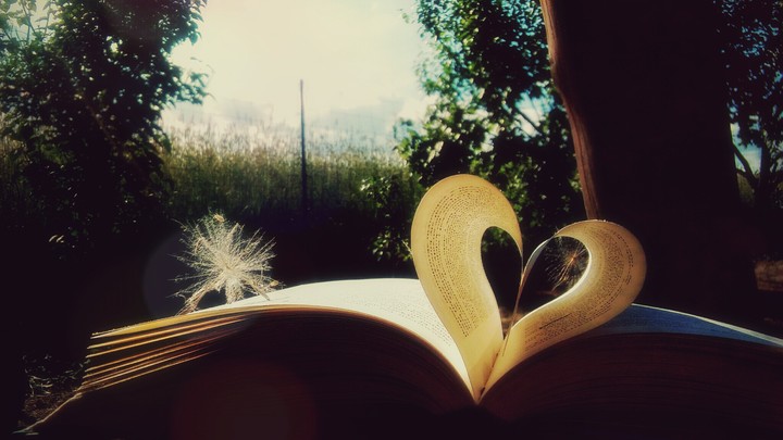 Book lover