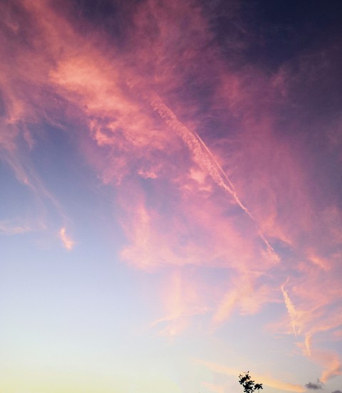 Pink Blue sky