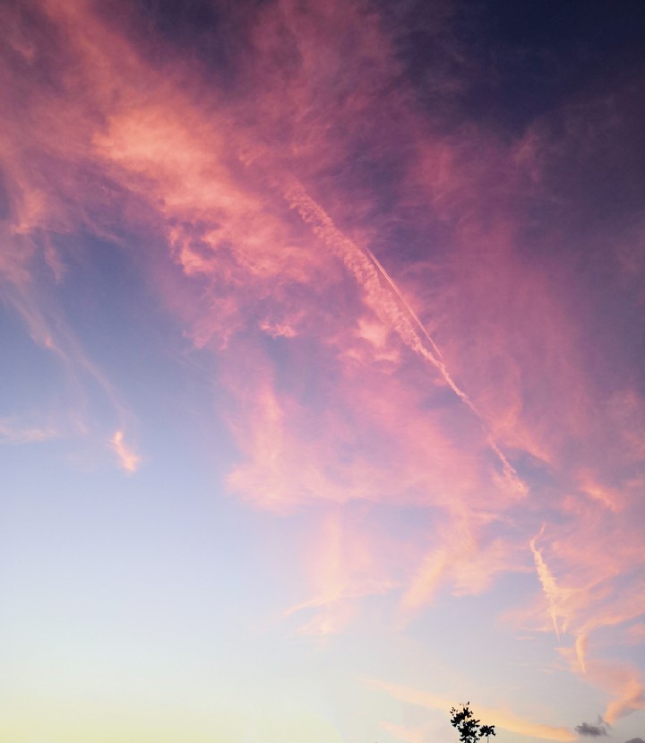 Pink Blue sky