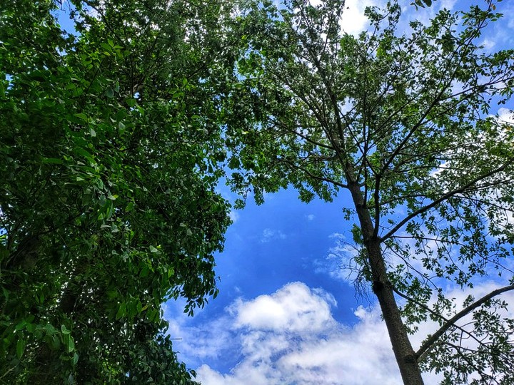 Blue Sky