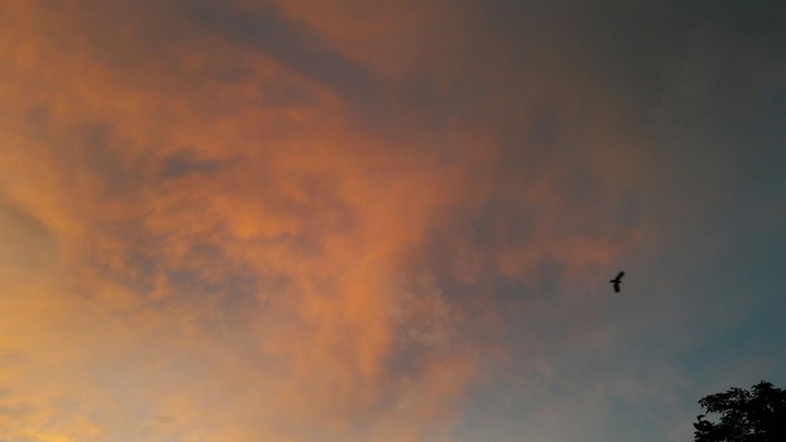 Twilight