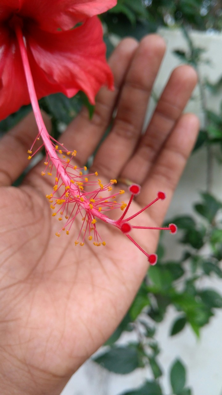 Nature is Beautiful