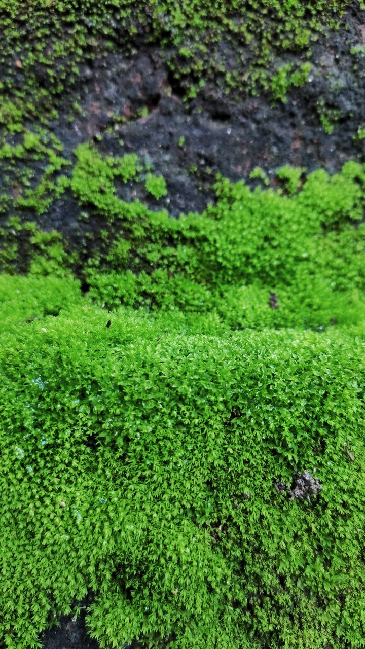 Natural