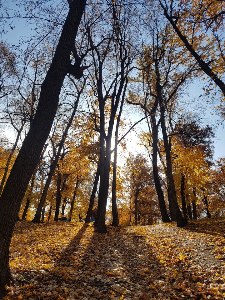 осенний парк