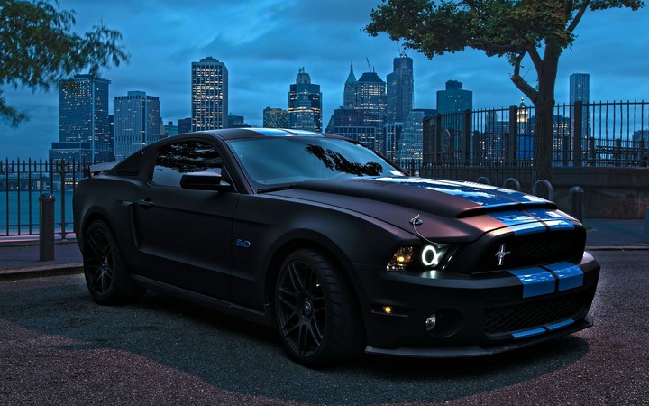 Mustang